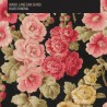 Mark Lanegan Band - Blues Funeral - 2xLP