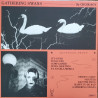 Choir Boy - Gathering Swans - LP color