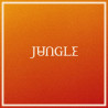 Jungle - Volcano - LP