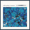 Wild Nothing - Nocturne - LP color