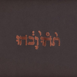 Godspeed You Black Emperor! – Slow Riot For New Zero Kanada E.P. - LP