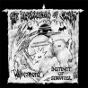 INSTINCT OF SURVIVAL / VOLKERMORD 7"